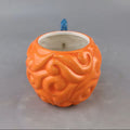 Taza Fruta del Diablo naranja One Piece